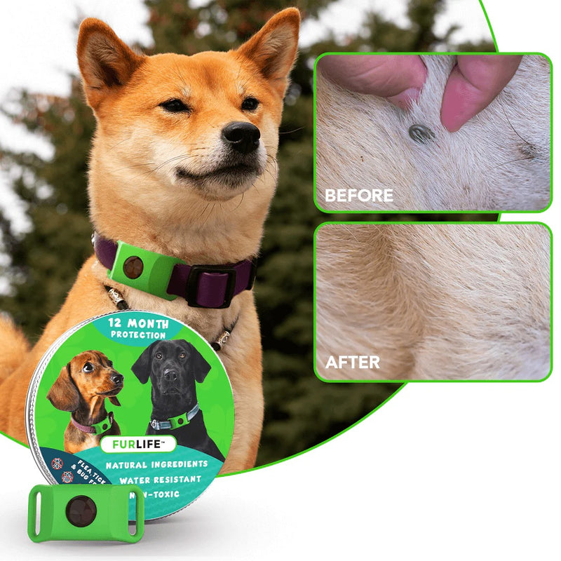 Anti Tick Collar
