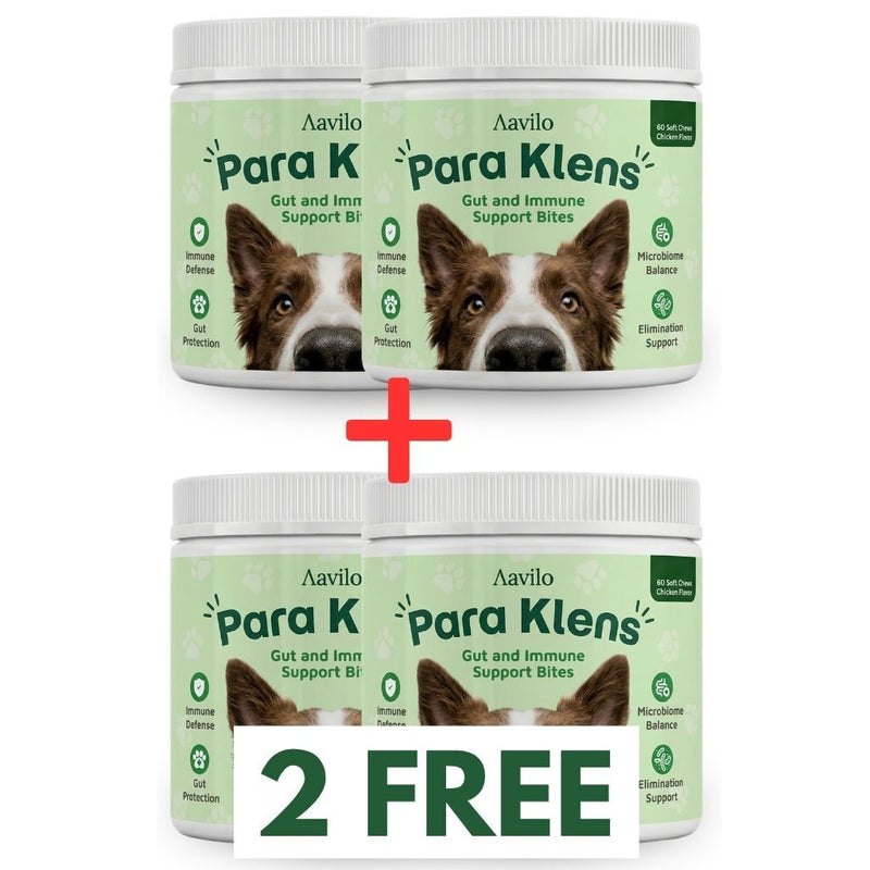 Gut & Immune Support for Dogs (BUY 2 GET 2 FREE)