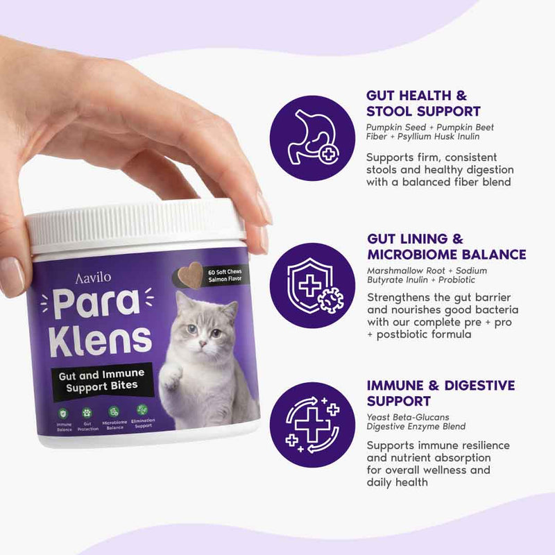 Aavilo Para Klens Cat