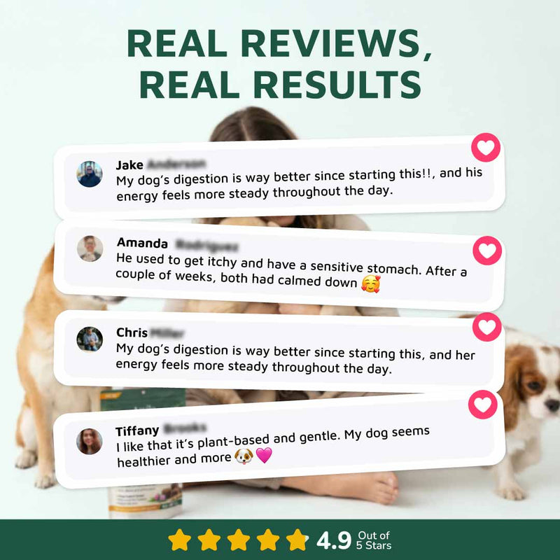 Gut & Immune Support for Dogs with Parasites BUY 3 GET 2 FREE (Best Value)