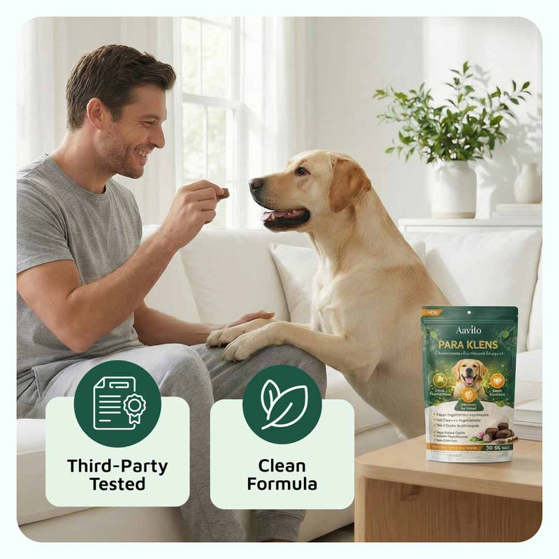 Gut & Immune Support for Dogs with Parasites BUY 3 GET 2 FREE (Best Value)