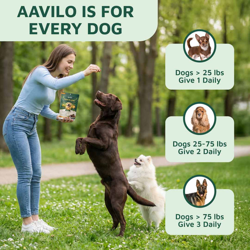 Gut & Immune Support for Dogs with Parasites BUY 3 GET 2 FREE (Best Value)