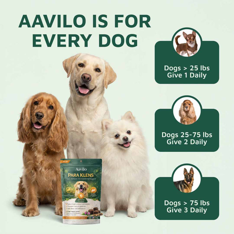 Gut & Immune Support for Dogs with Parasites BUY 3 GET 2 FREE (Best Value)
