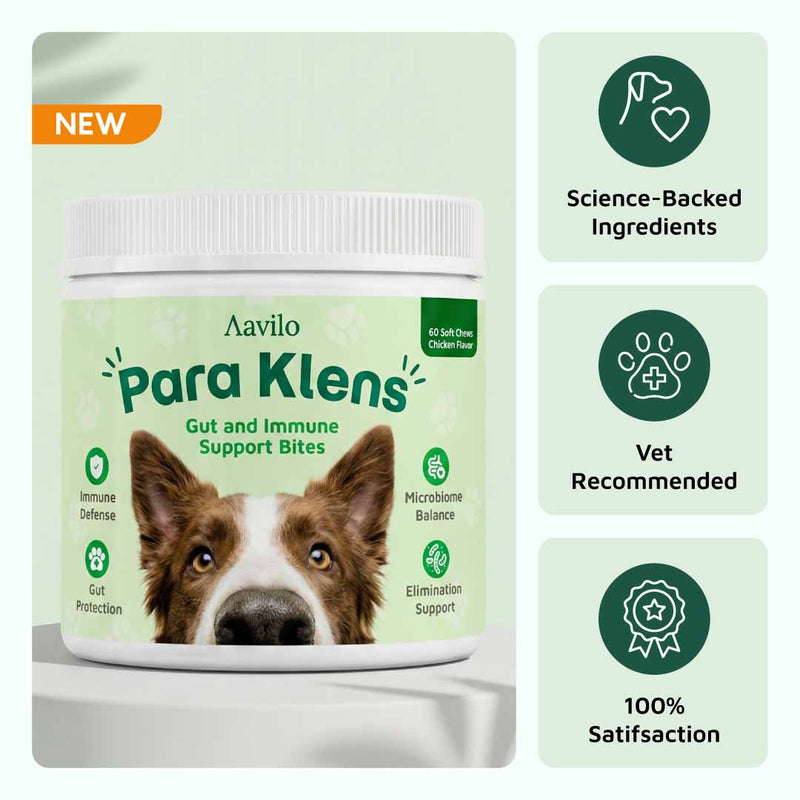 Aavilo Para Klens