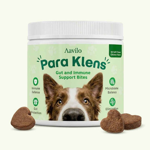 Support your dog from the inside