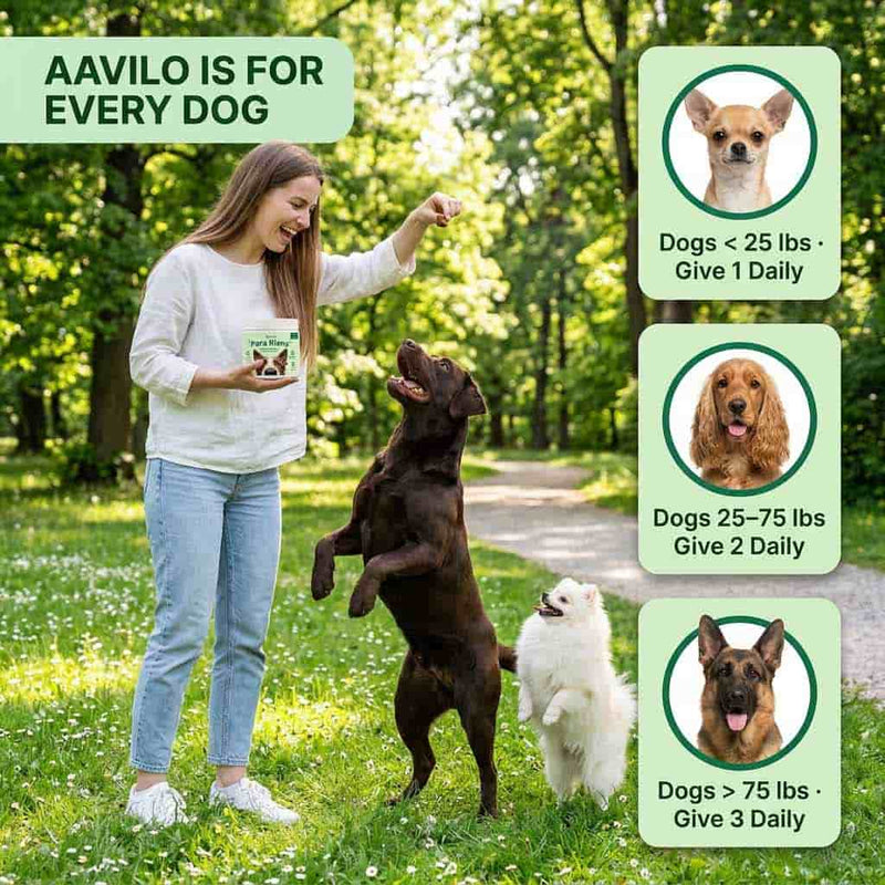 Aavilo Para Klens
