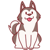 They said my dog looked completely fine